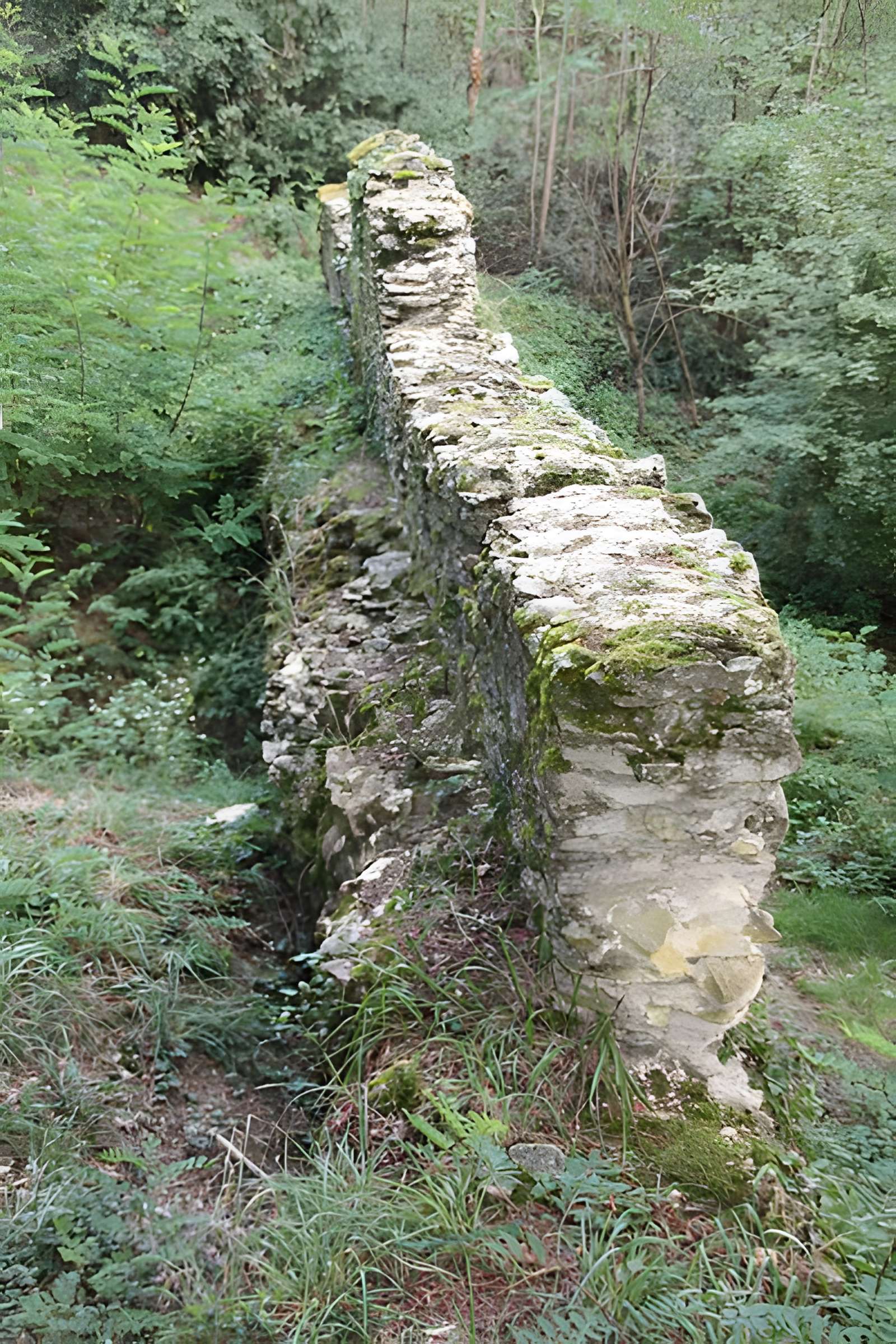 Pont-aqueduc dit le Pont de Jurieux (vestiges)