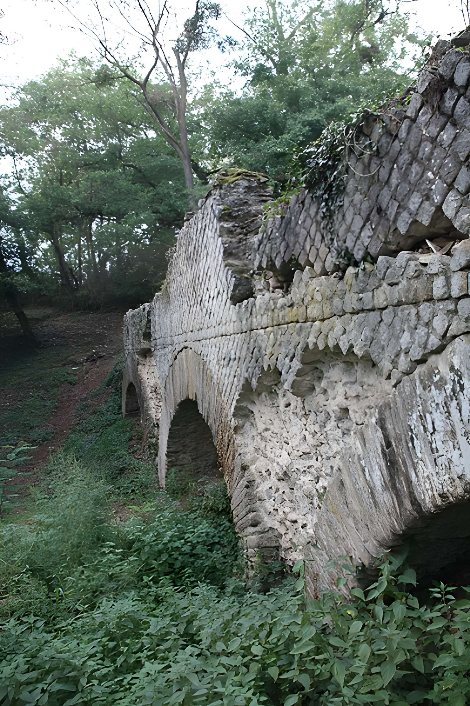 Pont-aqueduc dit le Pont de Jurieux (vestiges)