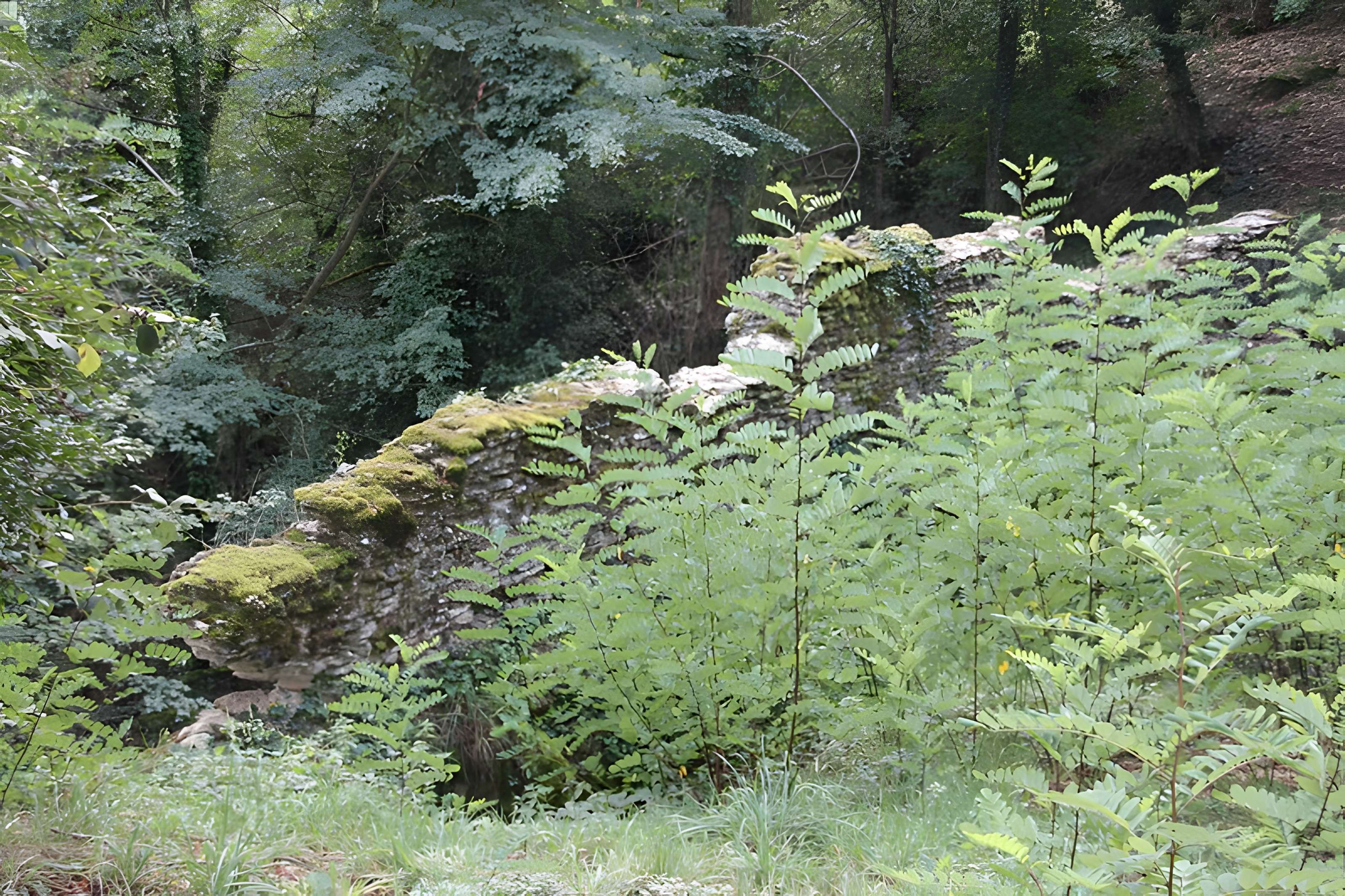Pont-aqueduc dit le Pont de Jurieux (vestiges)