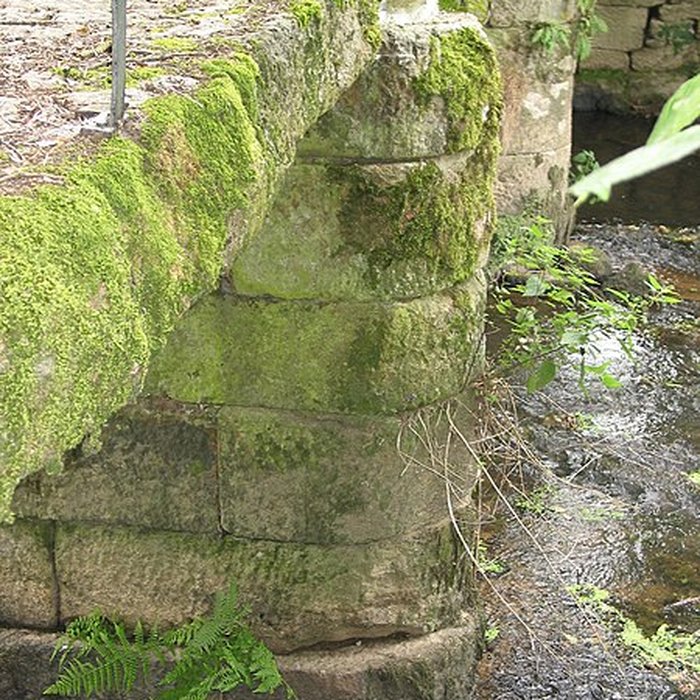Photo de Pont de la Motte à Craménil