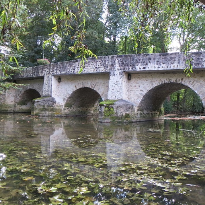 Photo de Pont de la Reine Blanche à Boussy-Saint-Antoine