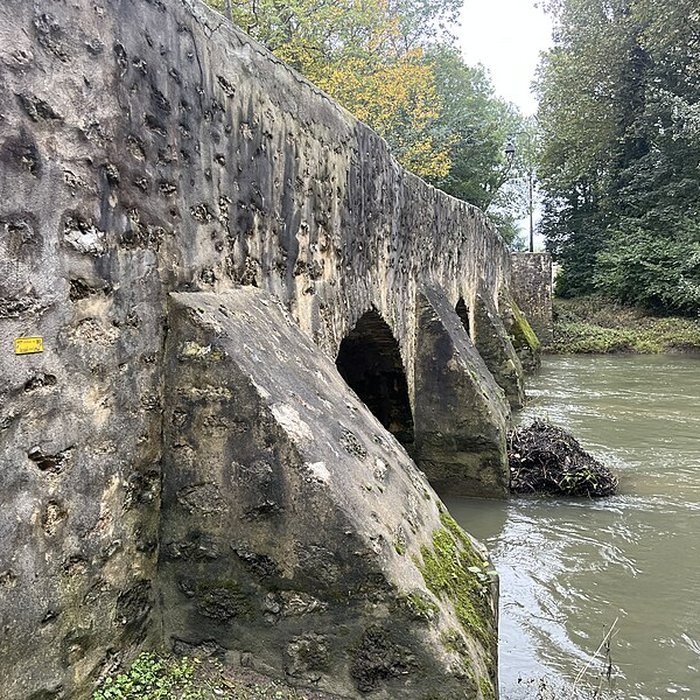 Photo de Pont de la Reine Blanche à Boussy-Saint-Antoine