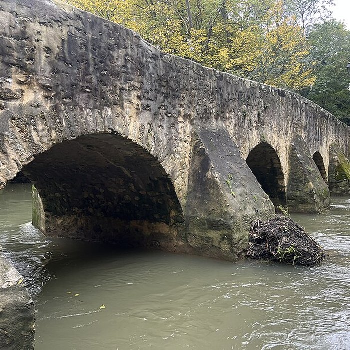 Photo de Pont de la Reine Blanche à Boussy-Saint-Antoine