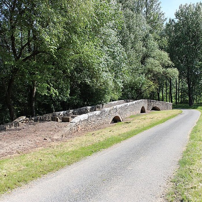 Photo de Pont de Laval à Puycelsi