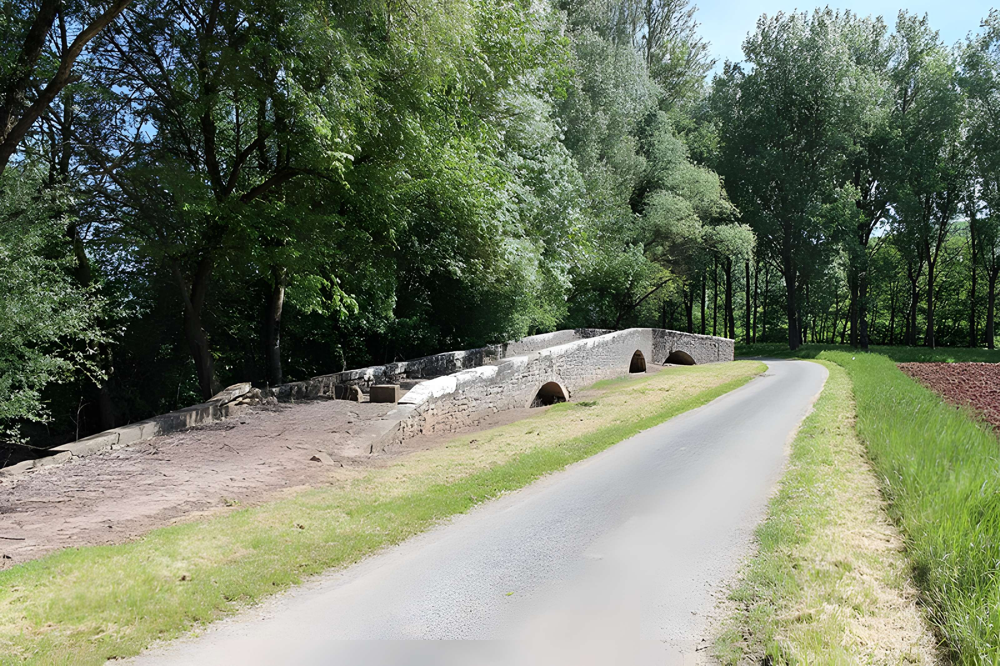 Pont de Laval à Puycelsi
