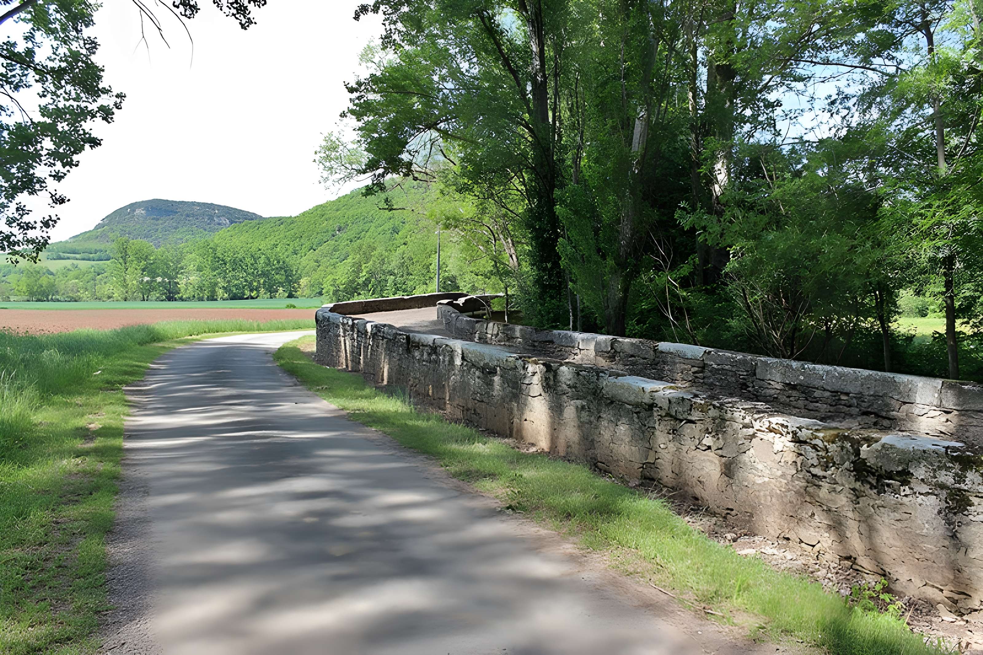 Pont de Laval à Puycelsi