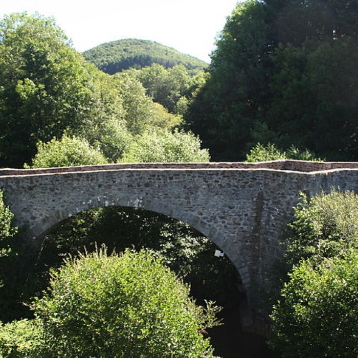 Photo de Pont de Saint-Étienne à La Salvetat-sur-Agout