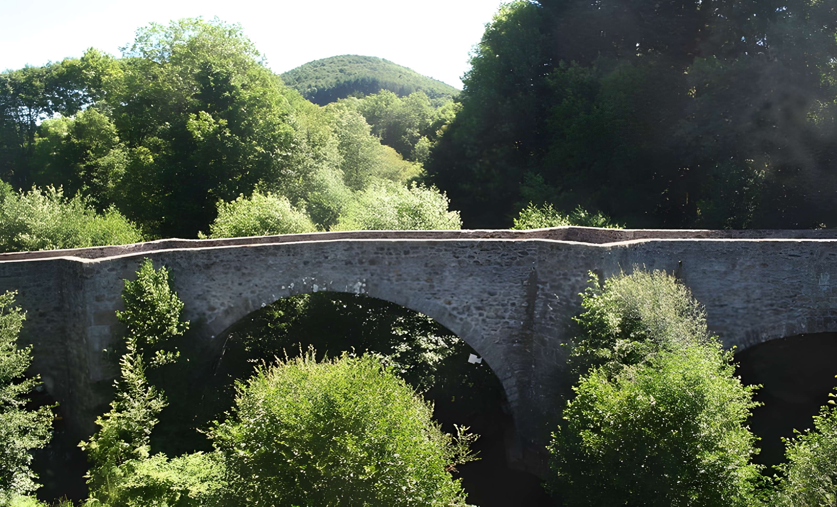 Pont de Saint-Étienne à La Salvetat-sur-Agout 