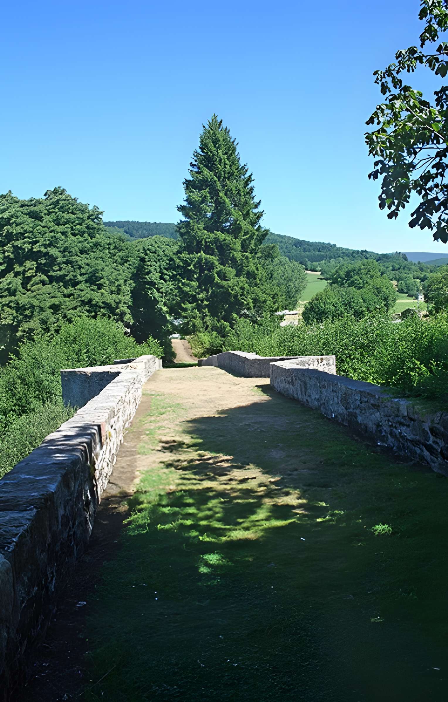 Pont de Saint-Étienne à La Salvetat-sur-Agout