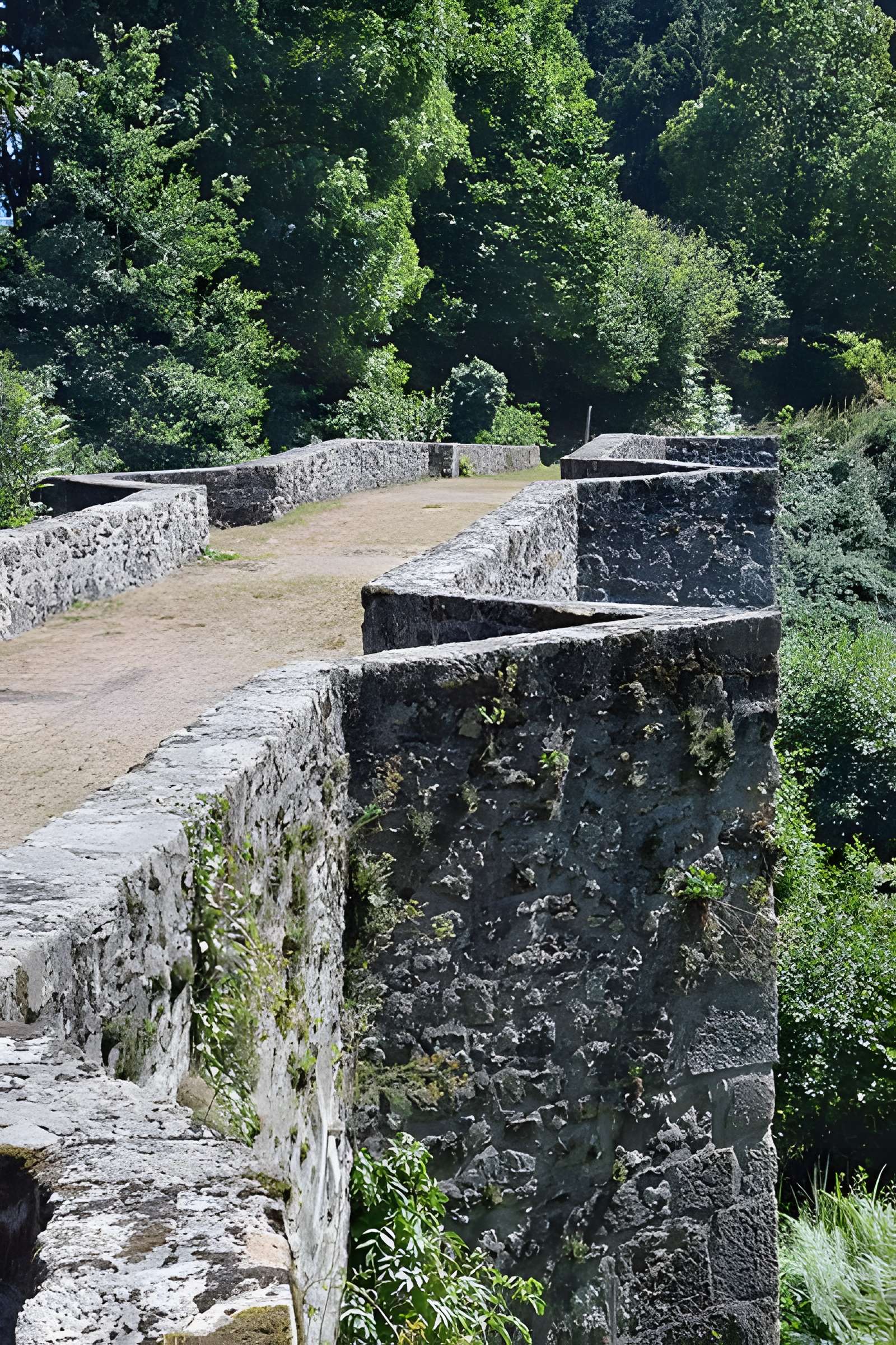Pont de Saint-Étienne à La Salvetat-sur-Agout