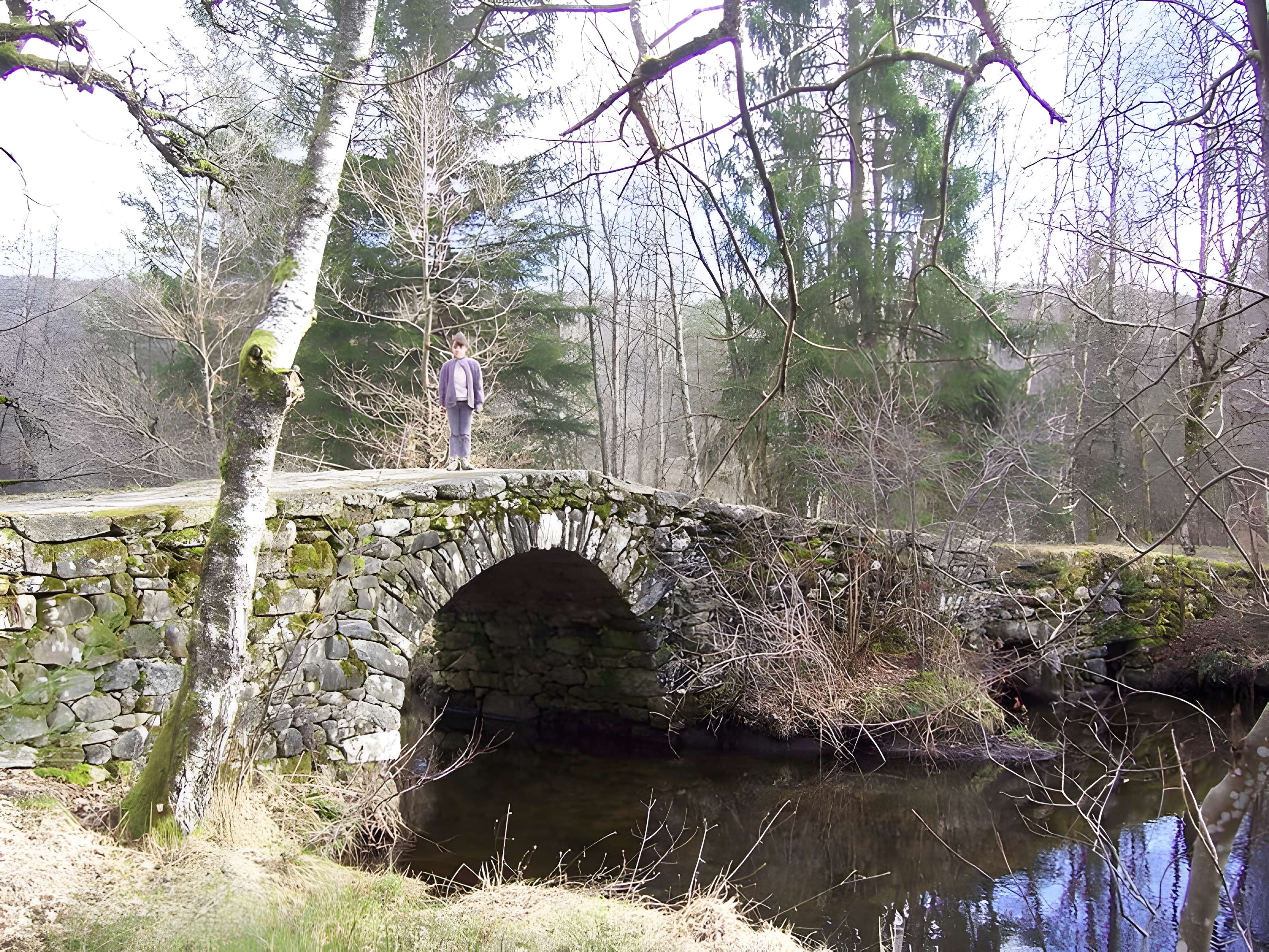 Pont de Variéras de Pérols-sur-Vézère 