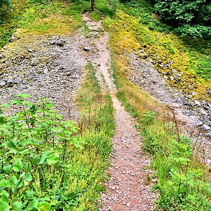 Photo de Ouvrage dit Pont des Fées également sur commune de Saint-Etienne-lès-Remiremont