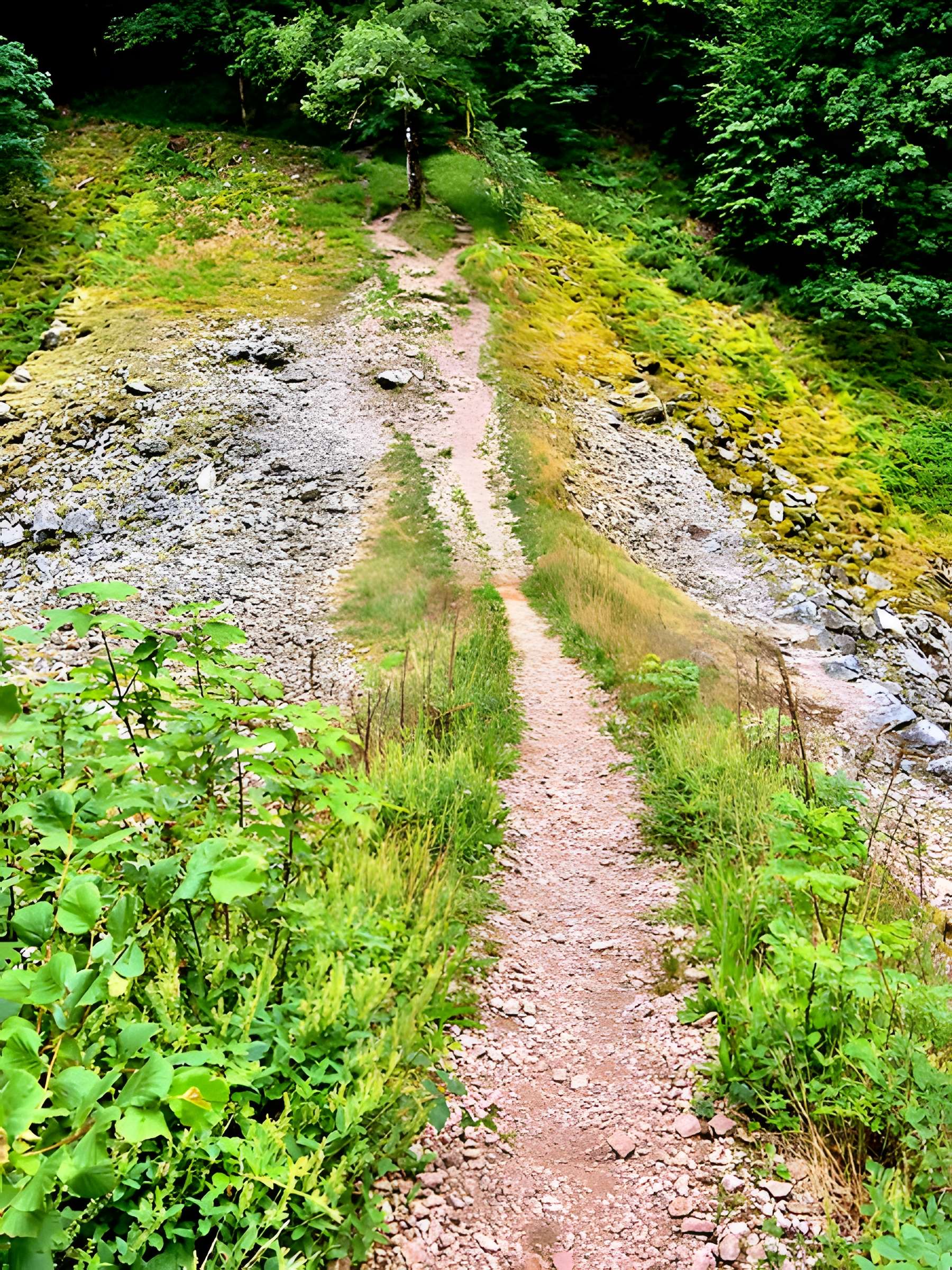 Ouvrage dit Pont des Fées (également sur commune de Saint-Etienne-lès-Remiremont)