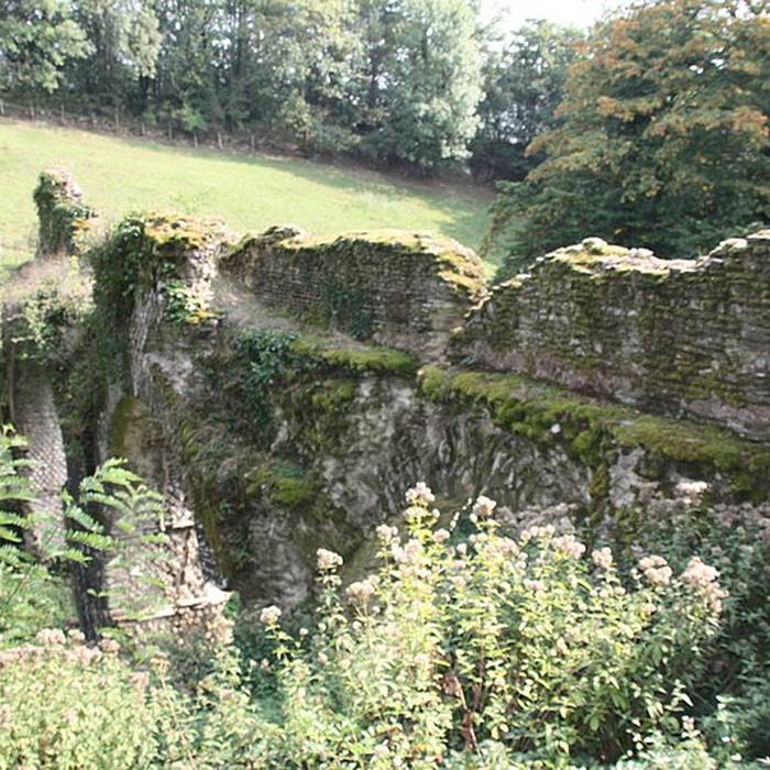 Photo de Pont des Granges de Saint-Maurice-sur-Dargoire
