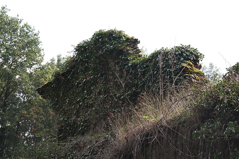 Pont des Granges de Saint-Maurice-sur-Dargoire