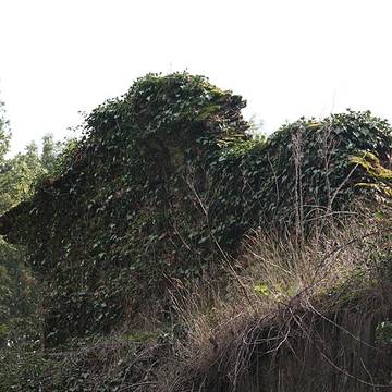Pont des Granges de Saint-Maurice-sur-Dargoire