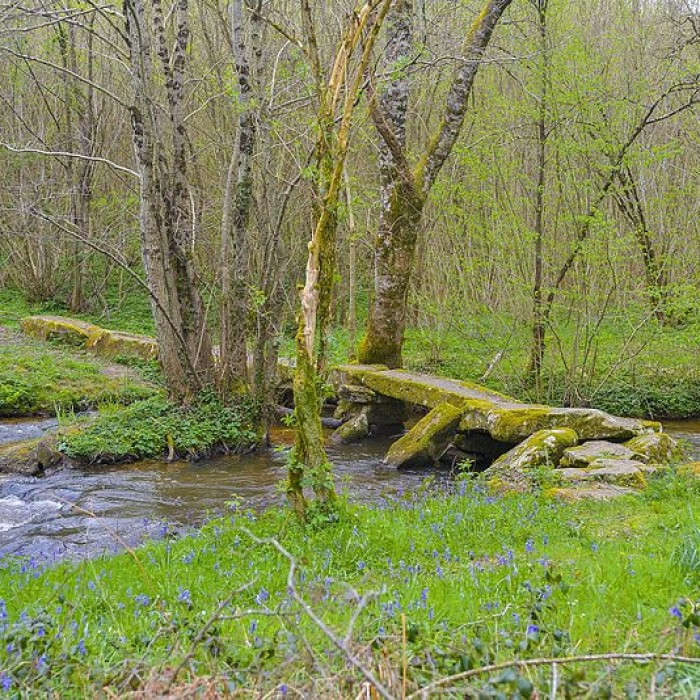 Photo de Pont dit romain sur lArthonnet