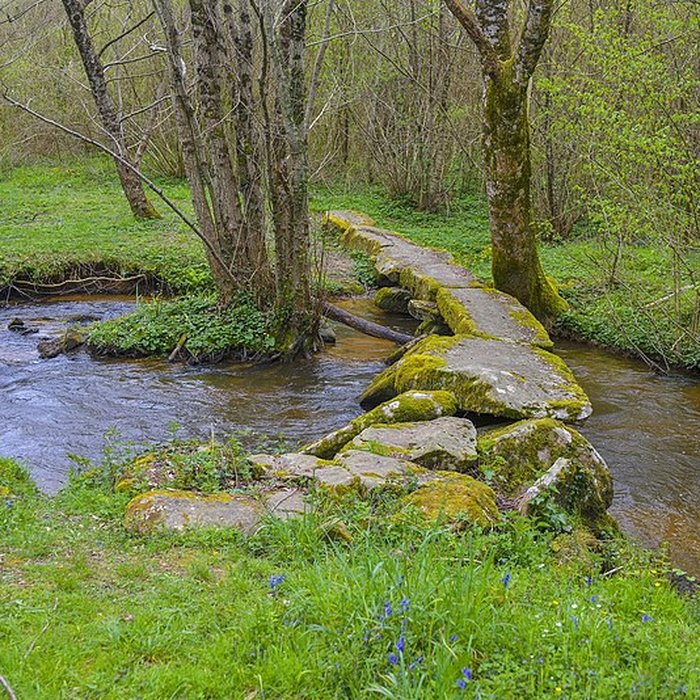 Photo de Pont dit romain sur lArthonnet