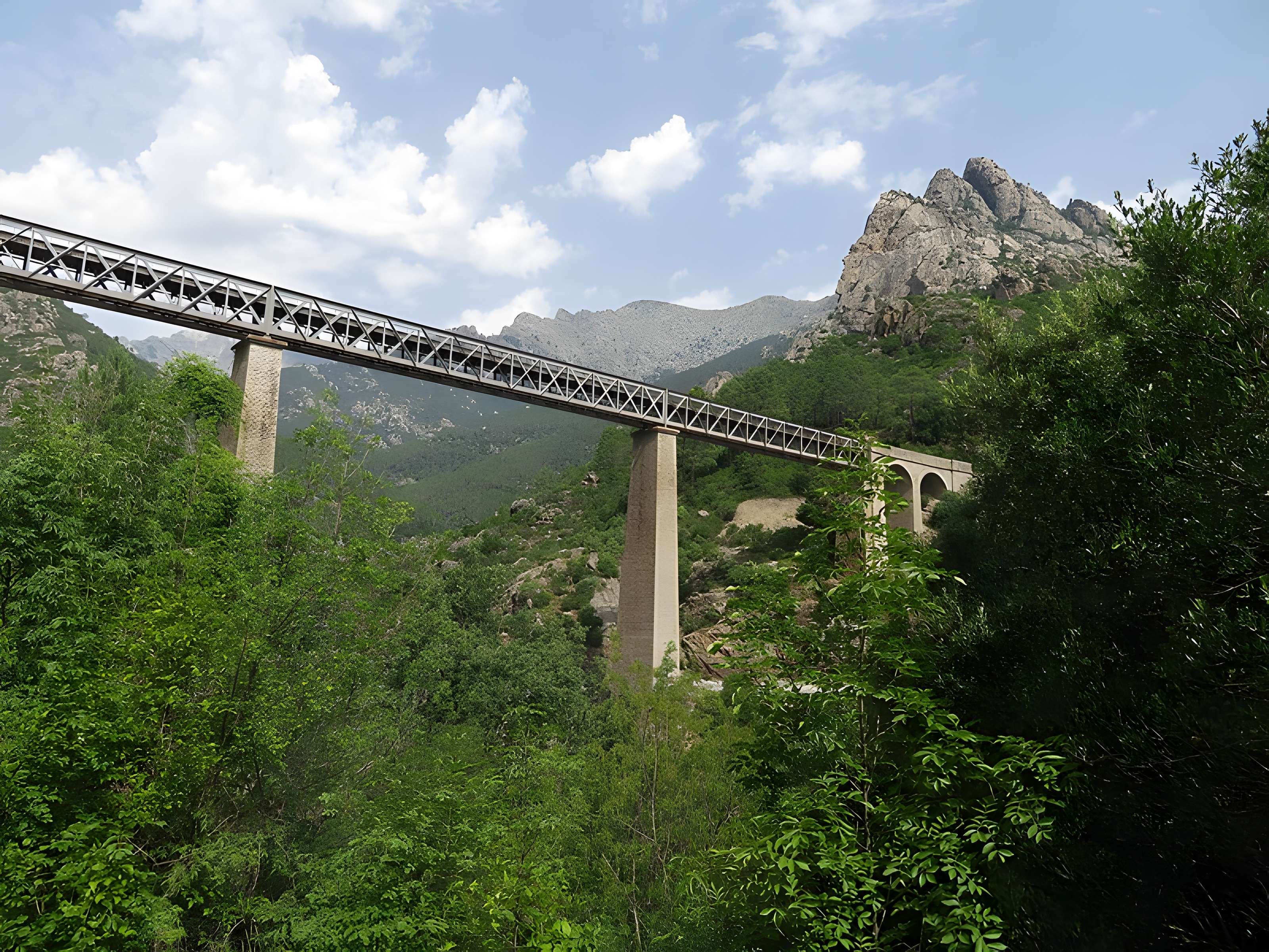 Viaduc sur le Vecchio ou pont Eiffel (également sur commune de Vivario)