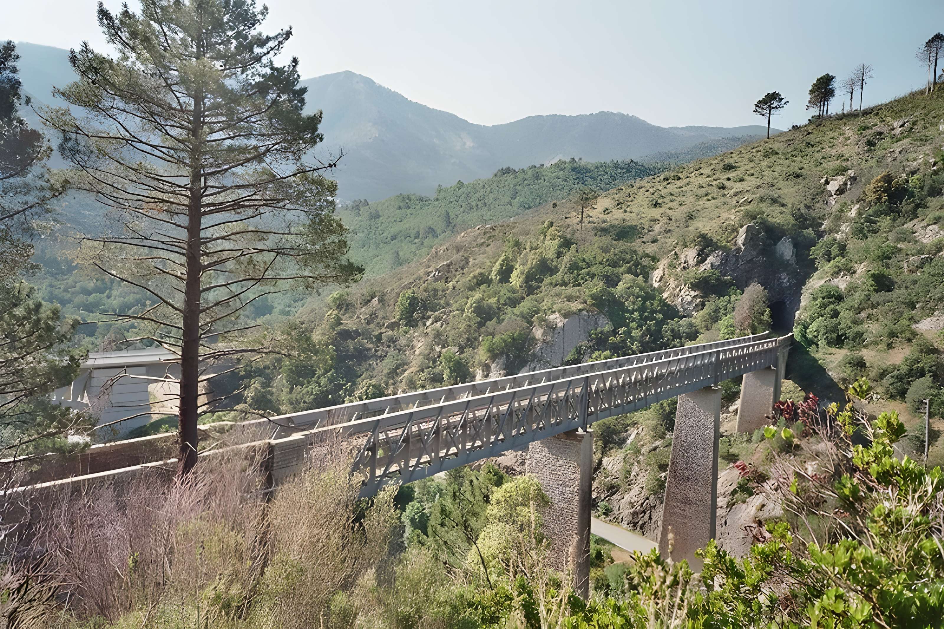 Viaduc sur le Vecchio ou pont Eiffel (également sur commune de Vivario)
