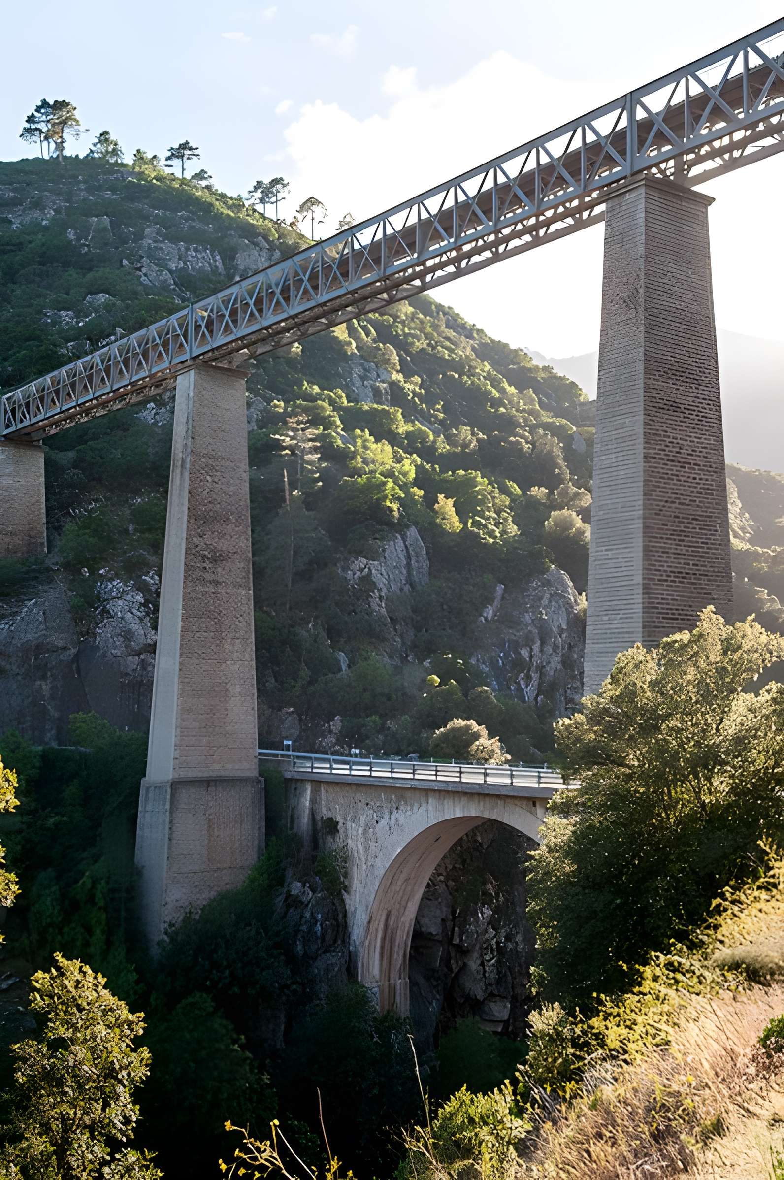 Viaduc sur le Vecchio ou pont Eiffel (également sur commune de Vivario)