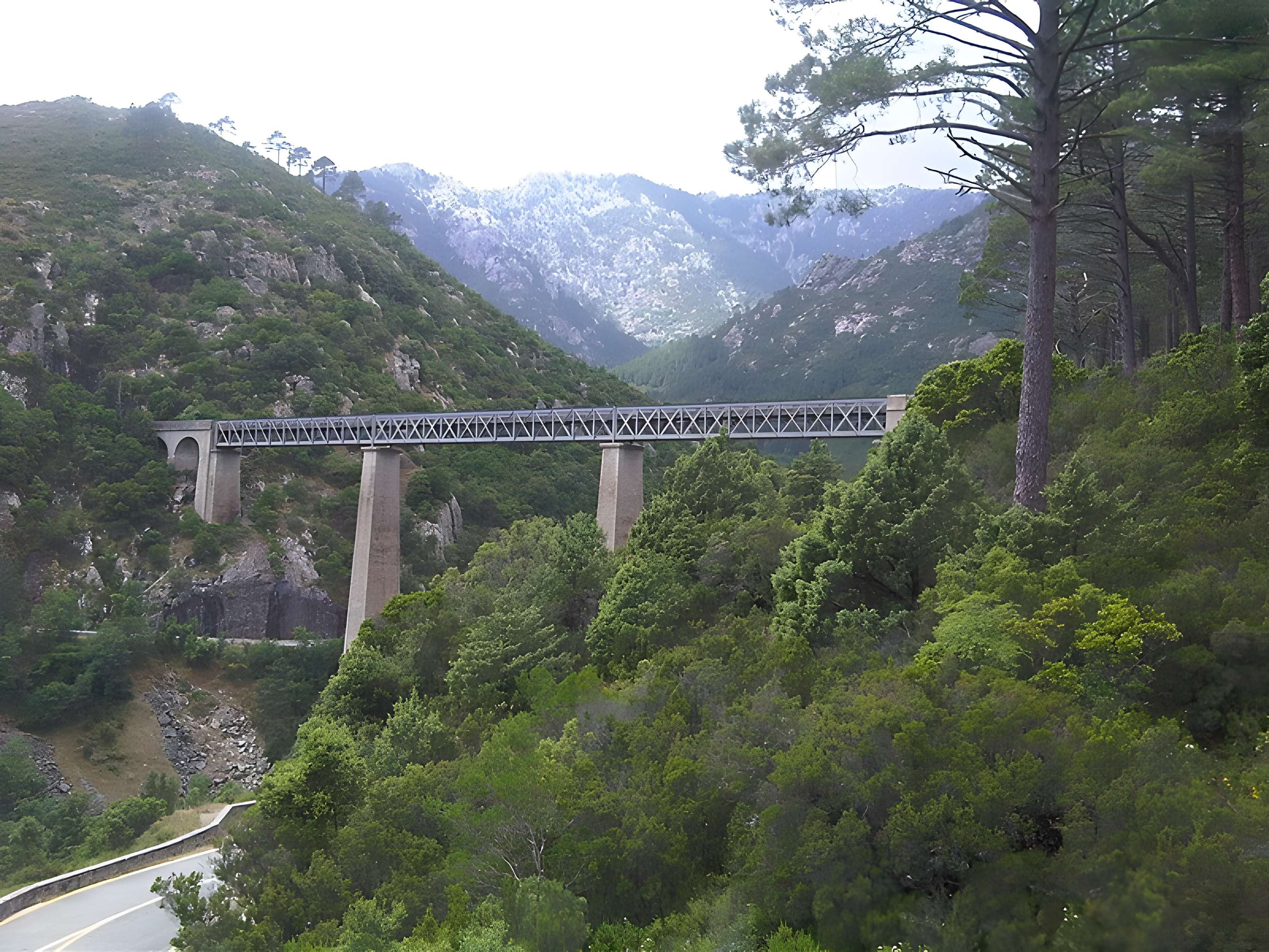 Viaduc sur le Vecchio ou pont Eiffel (également sur commune de Vivario)