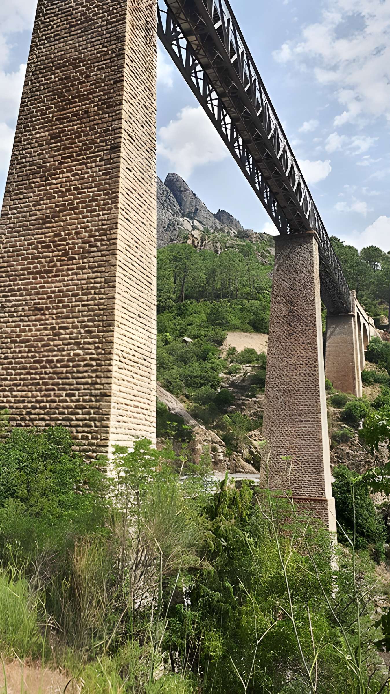 Viaduc sur le Vecchio ou pont Eiffel (également sur commune de Vivario)