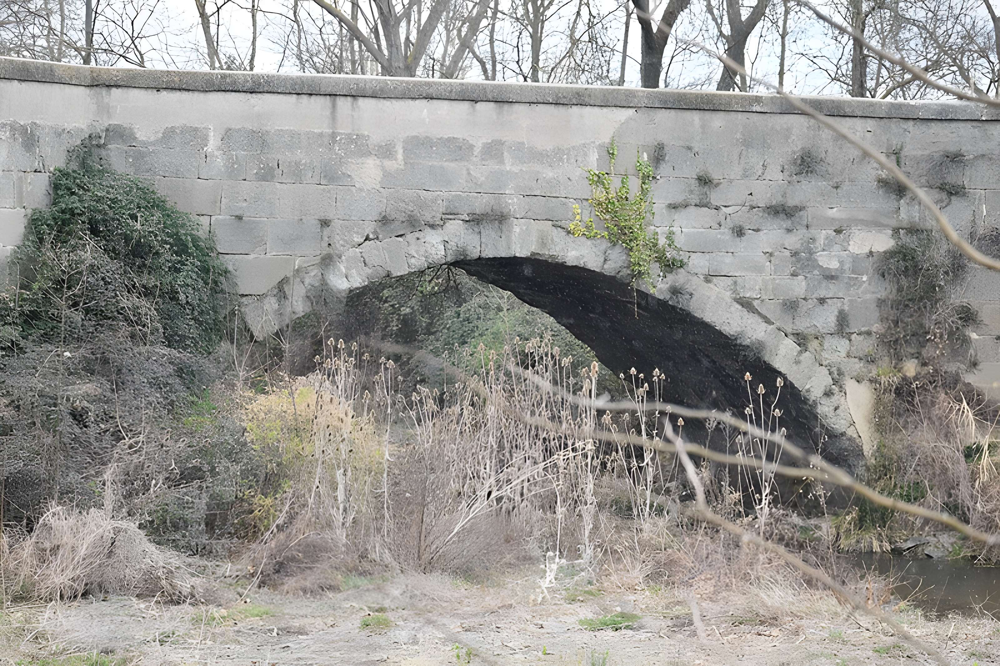 Pont sur la Thongue de Servian