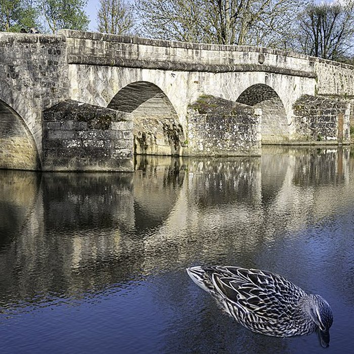 Photo de Pont sur le Loing à Grez-sur-Loing