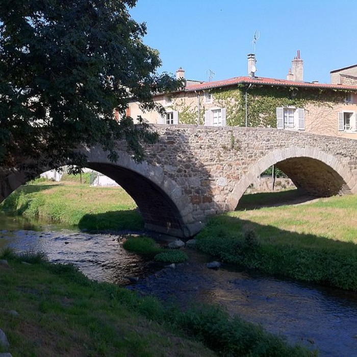 Photo de Pont vieux de Brignais