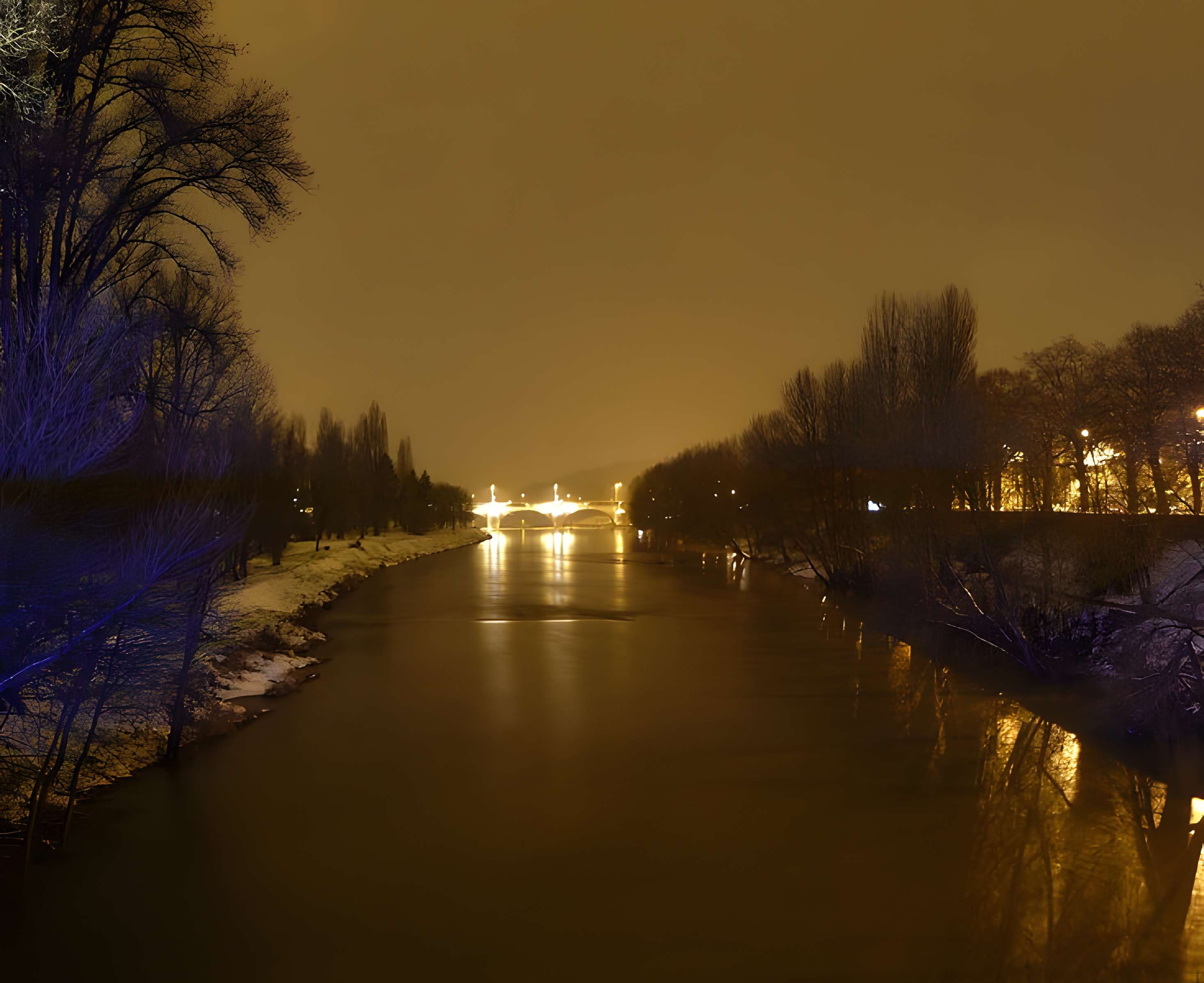 Pont Wilson à Tours