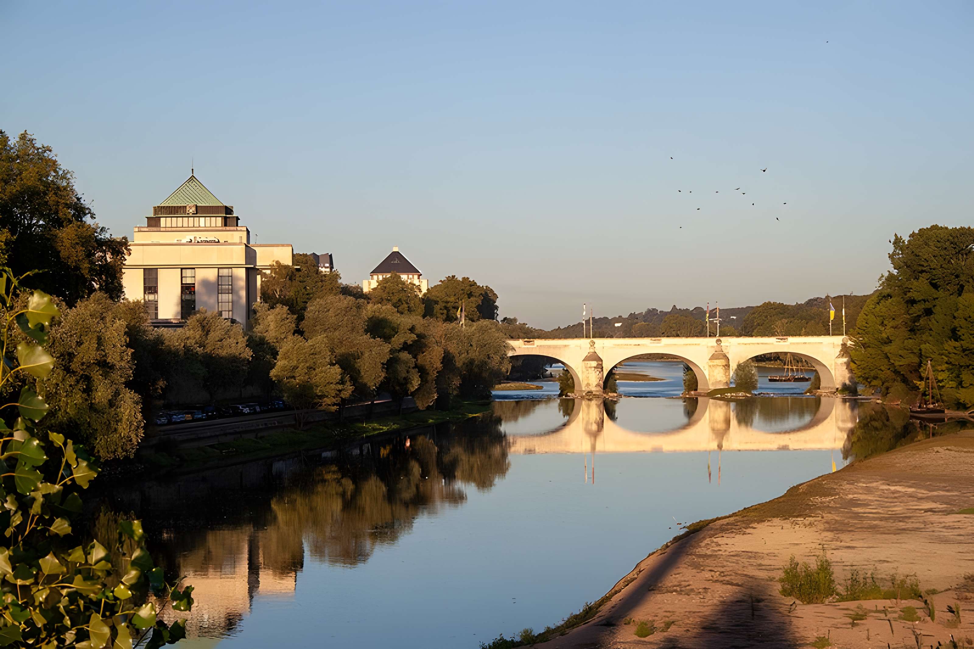 Pont Wilson à Tours