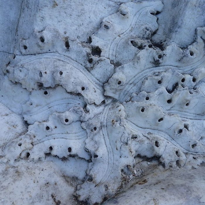 Photo de Ponts-Jumeaux de Toulouse