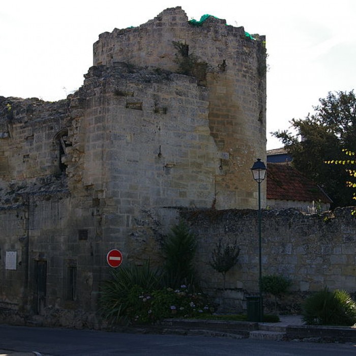 Photo de Porte de Blaye à Bourg