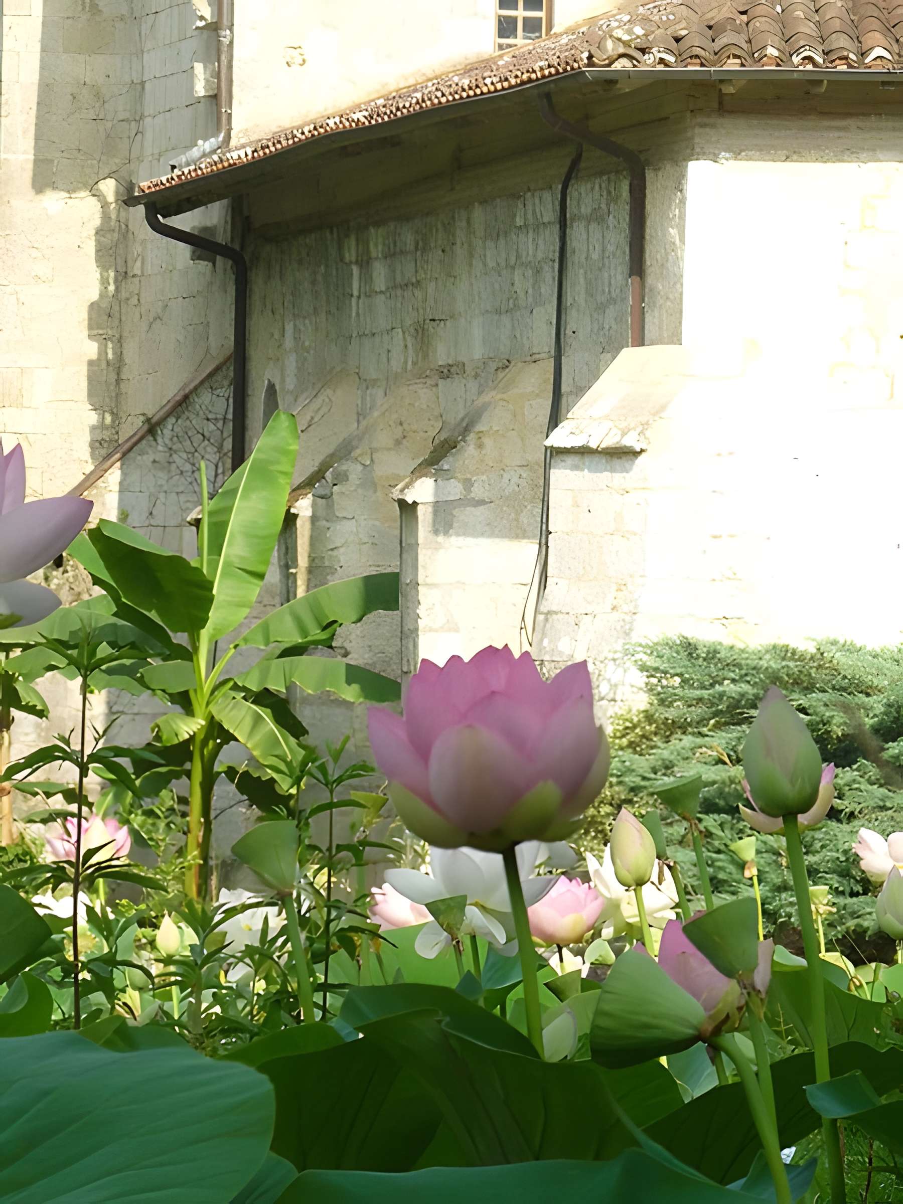Porte de ville de Barbotan de Cazaubon