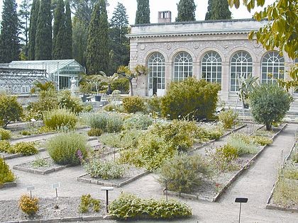 Photo de Jardin des plantes de Montpellier