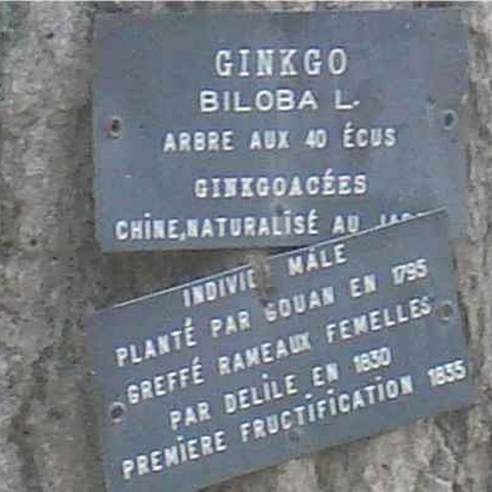 Photo de Jardin des plantes de Montpellier