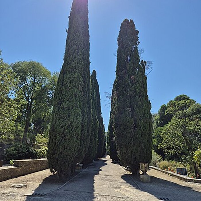 Photo de Jardin des plantes de Montpellier