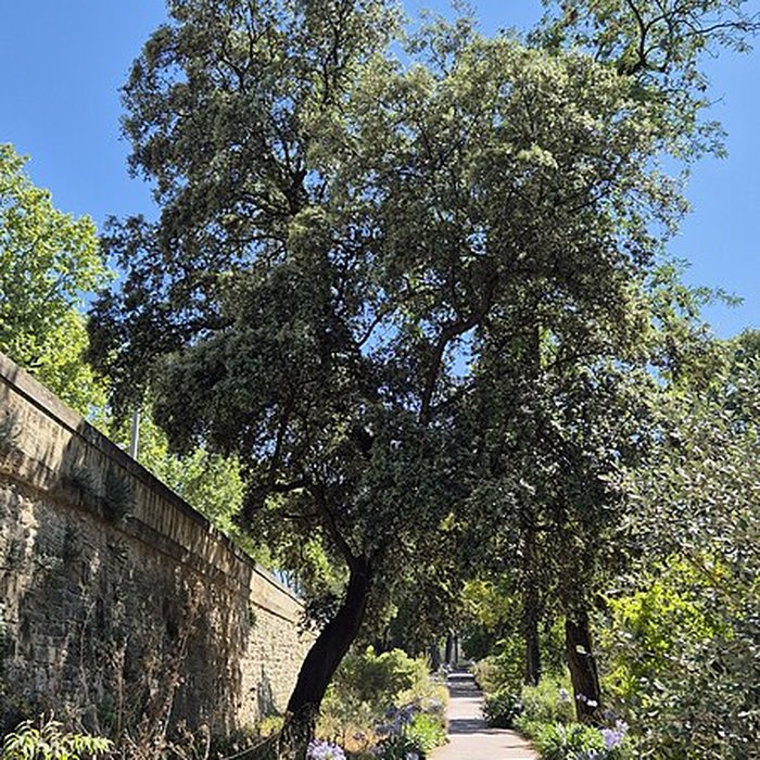 Photo de Jardin des plantes de Montpellier