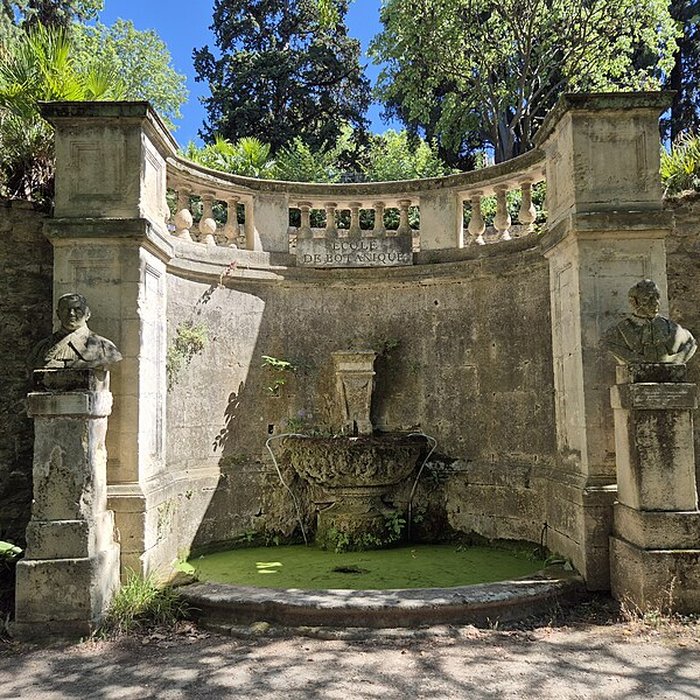 Photo de Jardin des plantes de Montpellier