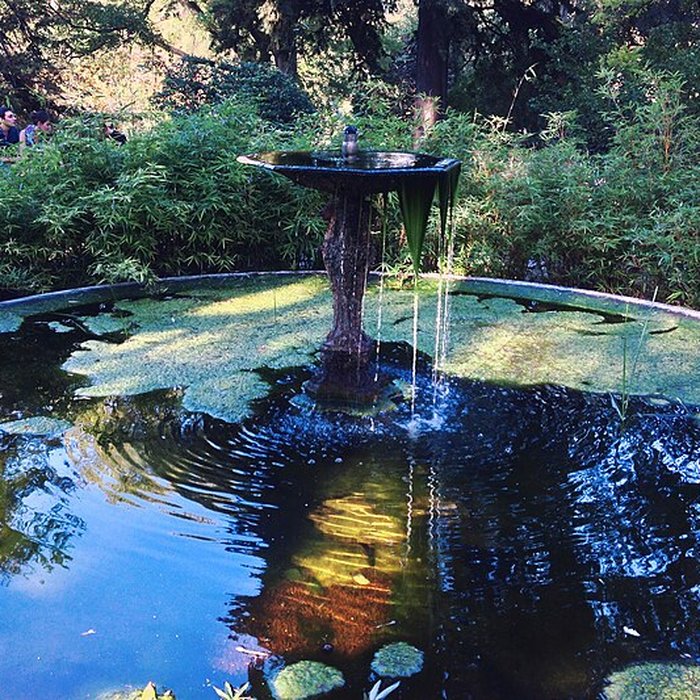 Photo de Jardin des plantes de Montpellier