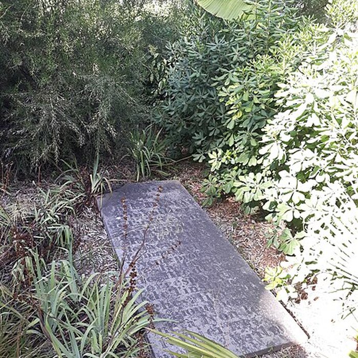 Photo de Jardin des plantes de Montpellier