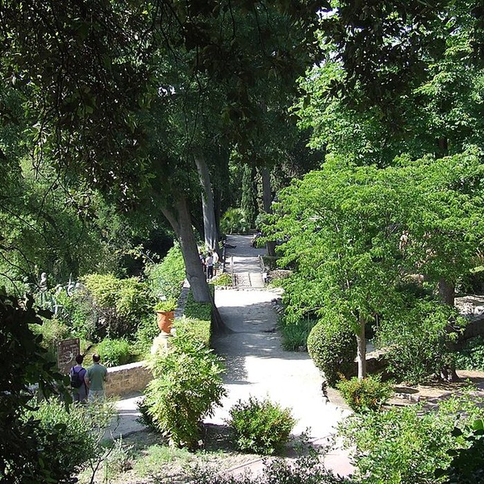 Photo de Jardin des plantes de Montpellier