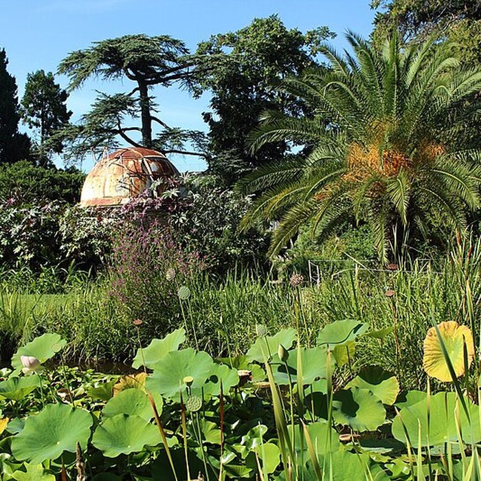 Photo de Jardin des plantes de Montpellier