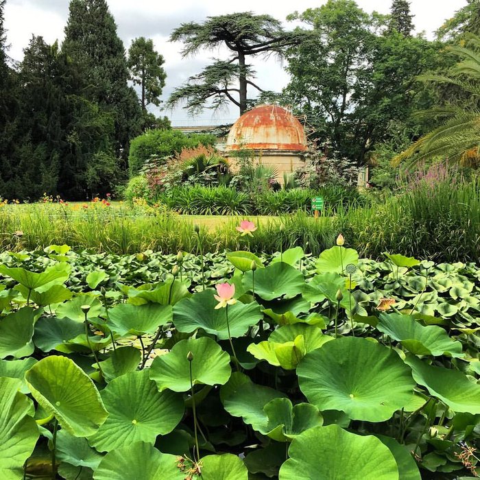 Photo de Jardin des plantes de Montpellier
