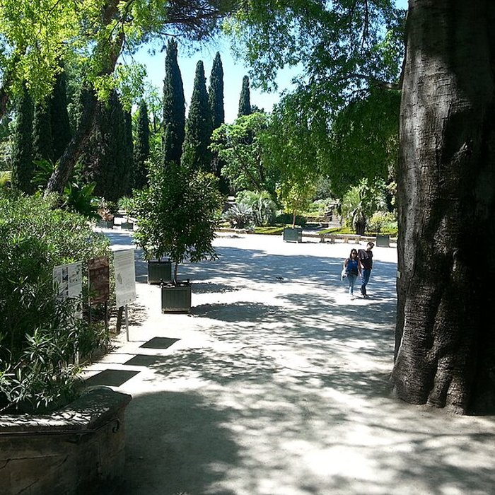 Photo de Jardin des plantes de Montpellier