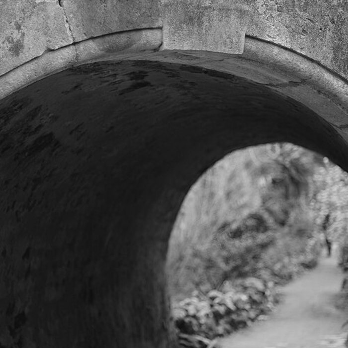 Photo de Jardin des plantes de Montpellier