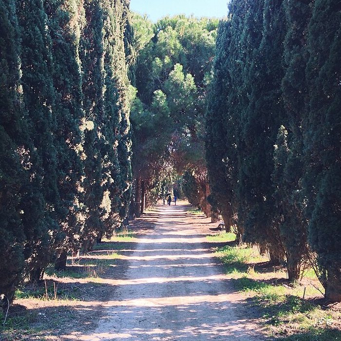 Photo de Jardin des plantes de Montpellier