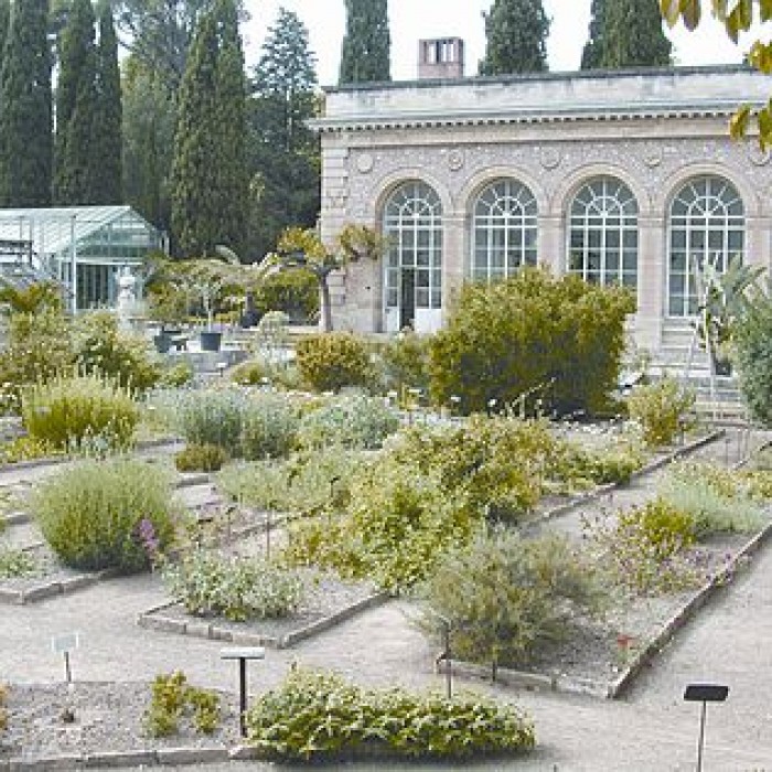Photo de Jardin des plantes de Montpellier
