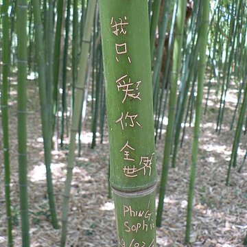 Jardin des plantes de Montpellier
